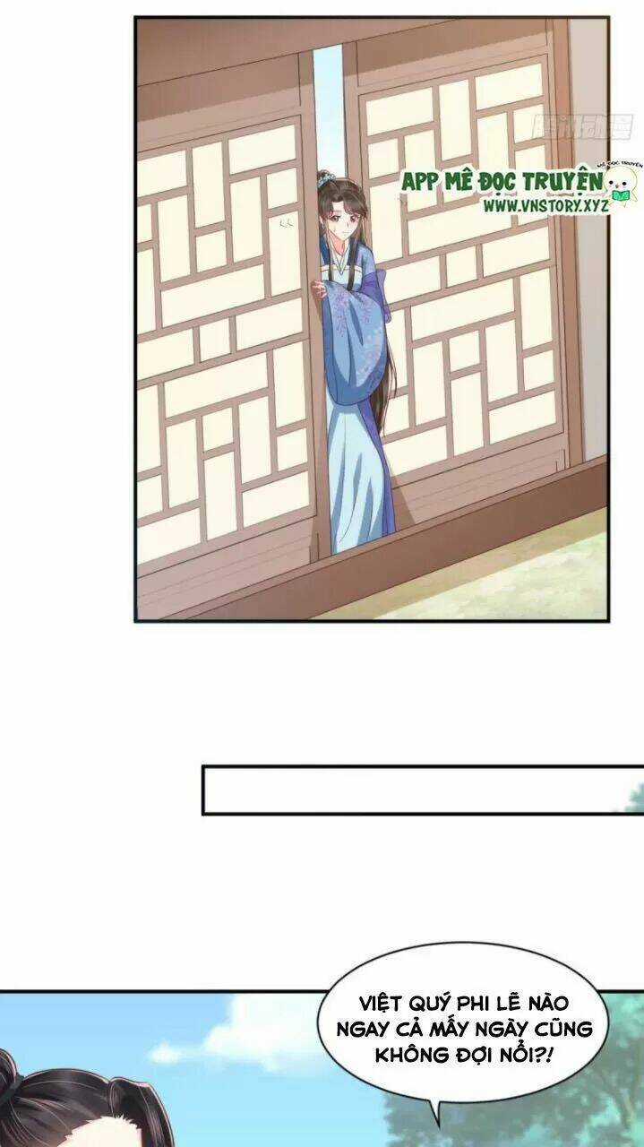 Độc Phi Ngu Ngốc Không Thể Chọc Chapter 169 trang 11