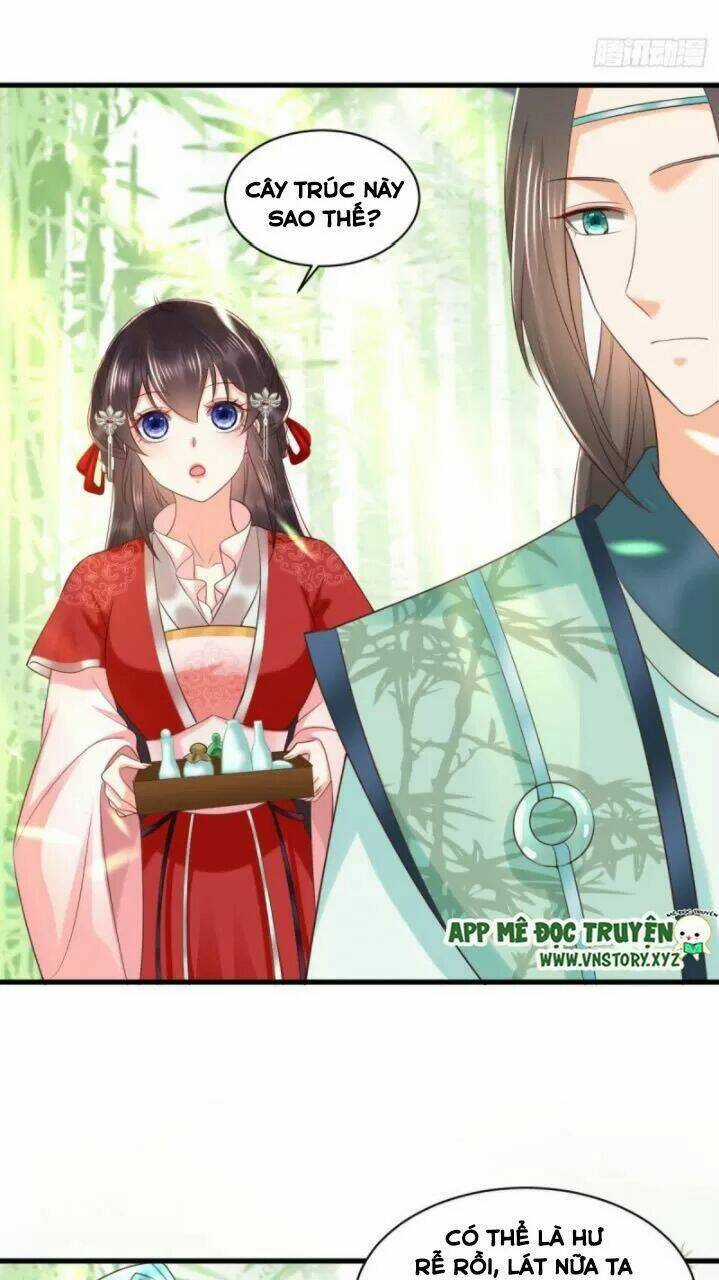 Độc Phi Ngu Ngốc Không Thể Chọc Chapter 171 trang 9