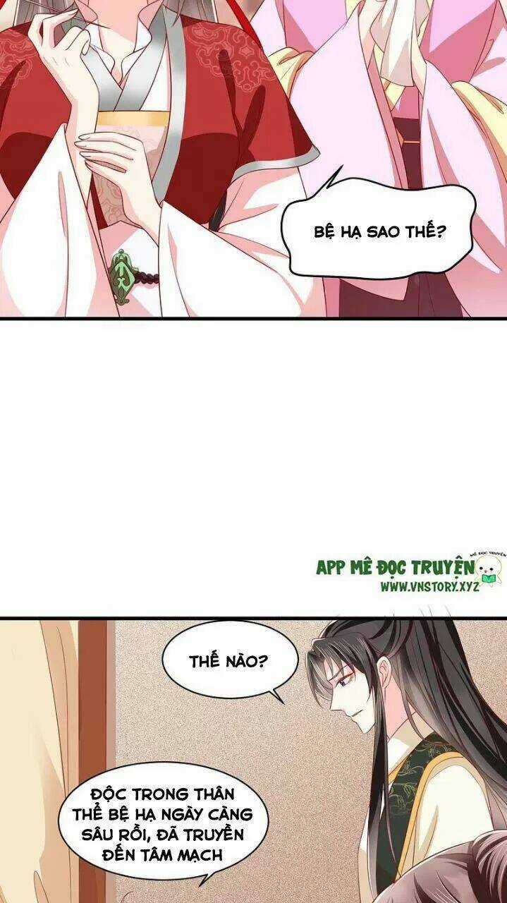 Độc Phi Ngu Ngốc Không Thể Chọc Chapter 172 trang 5