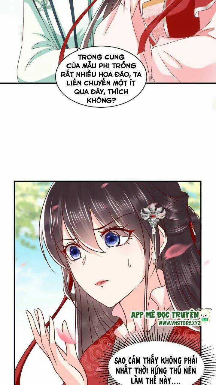 Độc Phi Ngu Ngốc Không Thể Chọc Chapter 173 trang 17