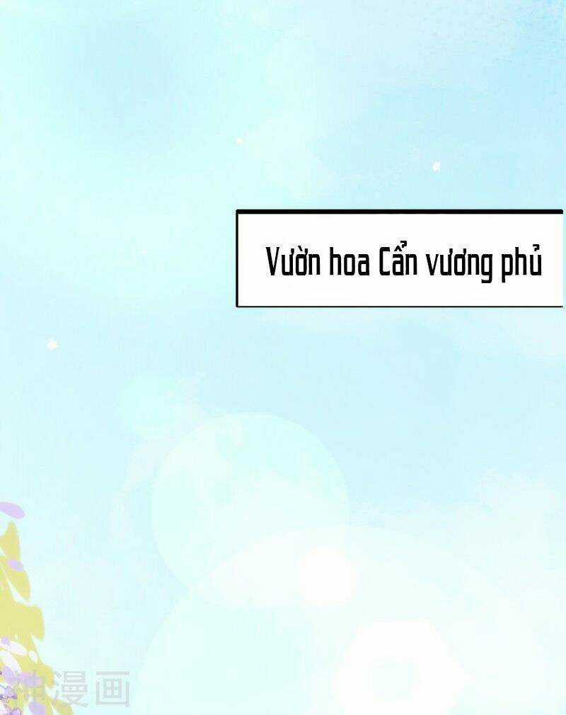 Đọc Tâm Cuồng Phi Khuynh Thiên Hạ Chapter 75 trang 3