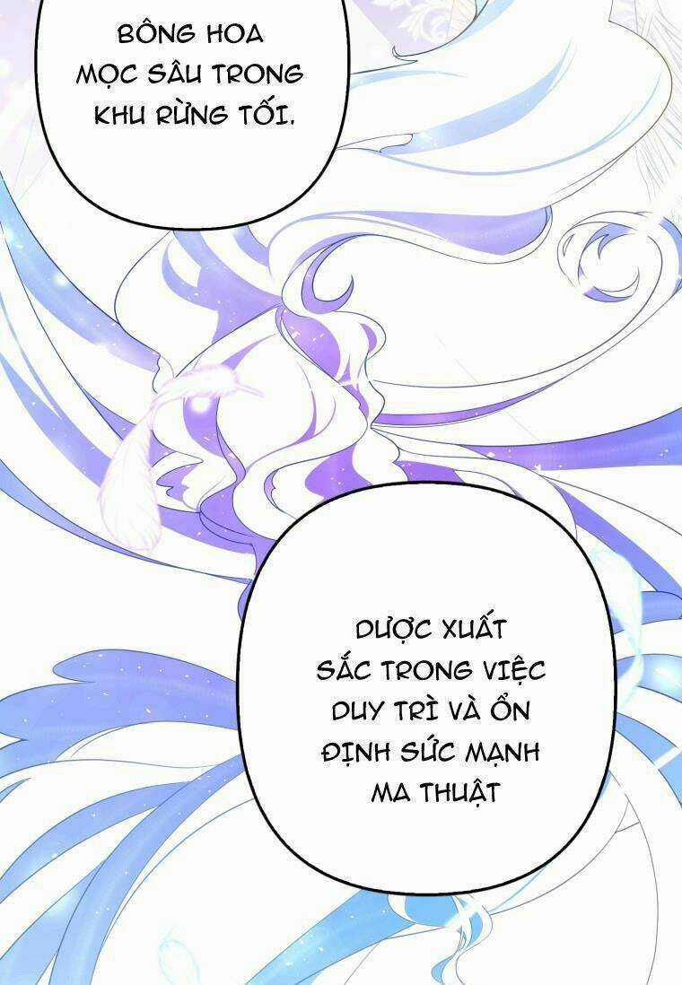 Đọc Thần Chú Lên Đi, Rose! Chapter 2 trang 9