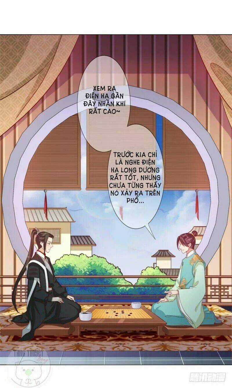 Độc Y Cuồng Phi Chapter 13 trang 1