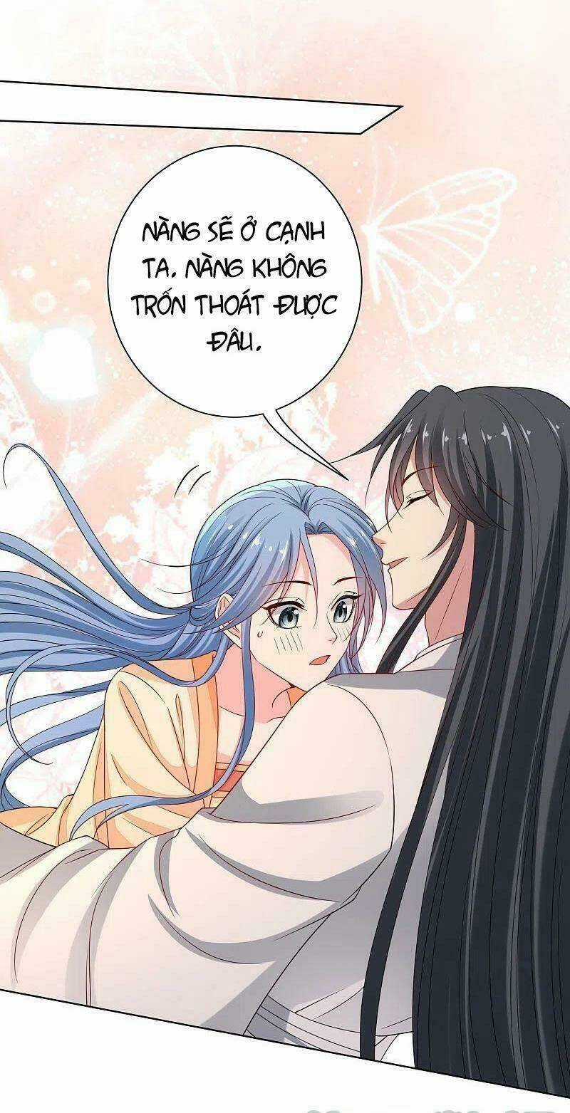 Độc Y Đích Nữ Chapter 208 trang 12