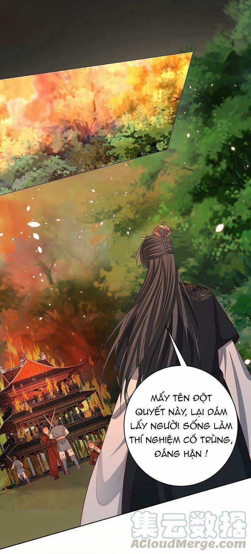 Độc Y Đích Nữ Chapter 232 trang 25