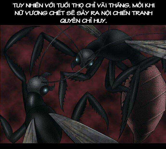 Dog Man (Chó Săn) Chapter 2 trang 47