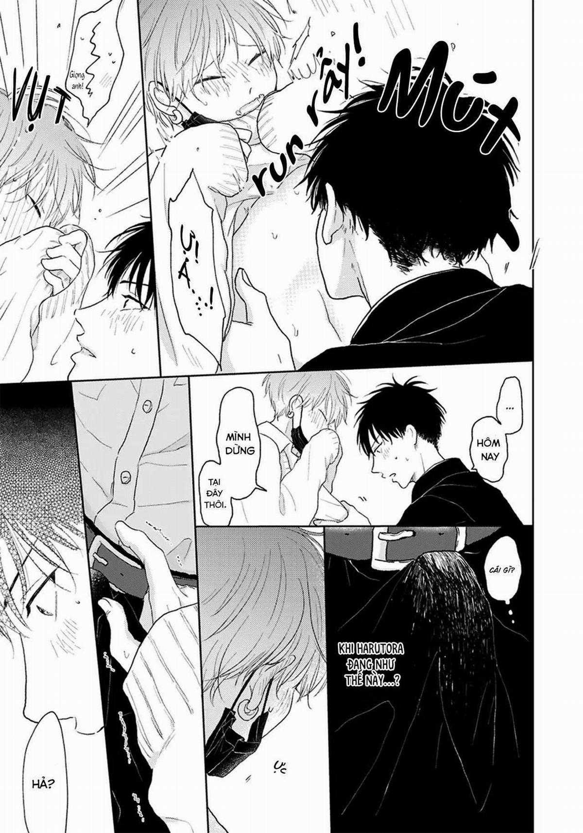 Đợi Chút Đã, Harutora-Kun Chapter 3 trang 39