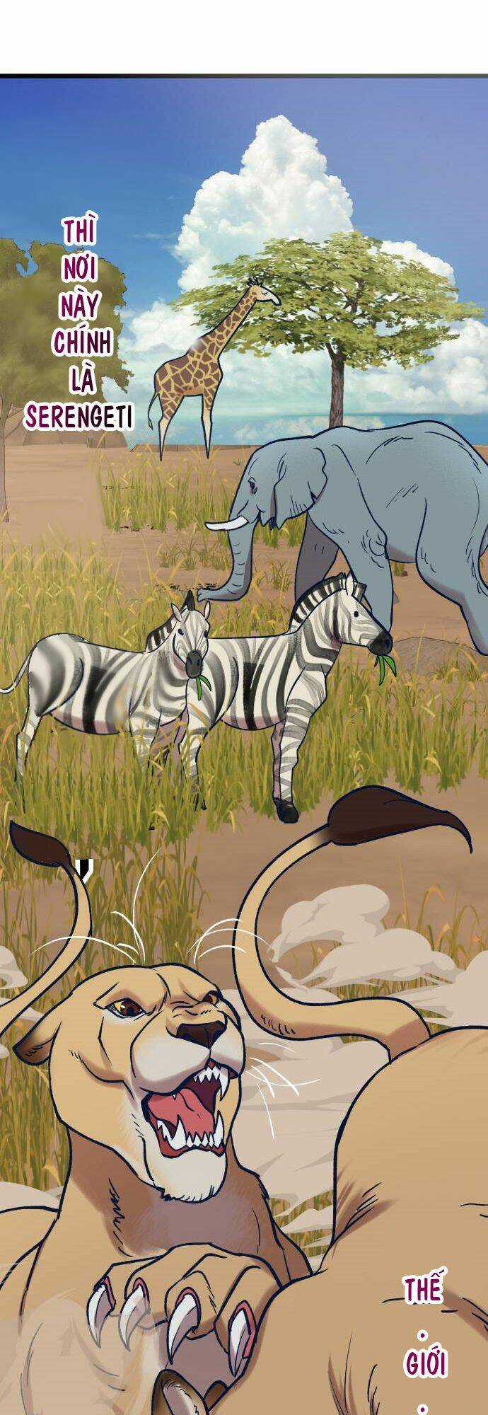 Đời Tư Idol Chapter 5 trang 70