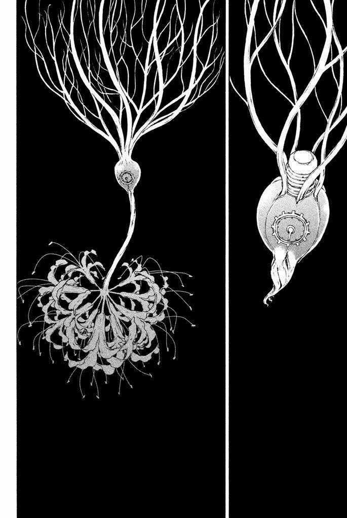 Doll's Folklore Chapter 13 trang 30