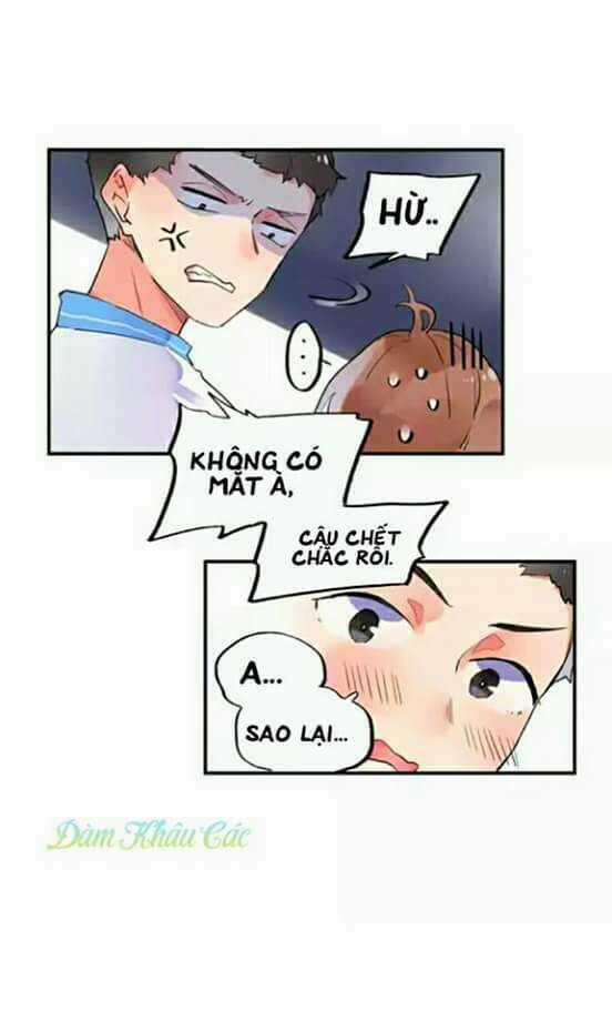 Dolo Mệnh Vận Giao Nang Chapter 2 trang 15