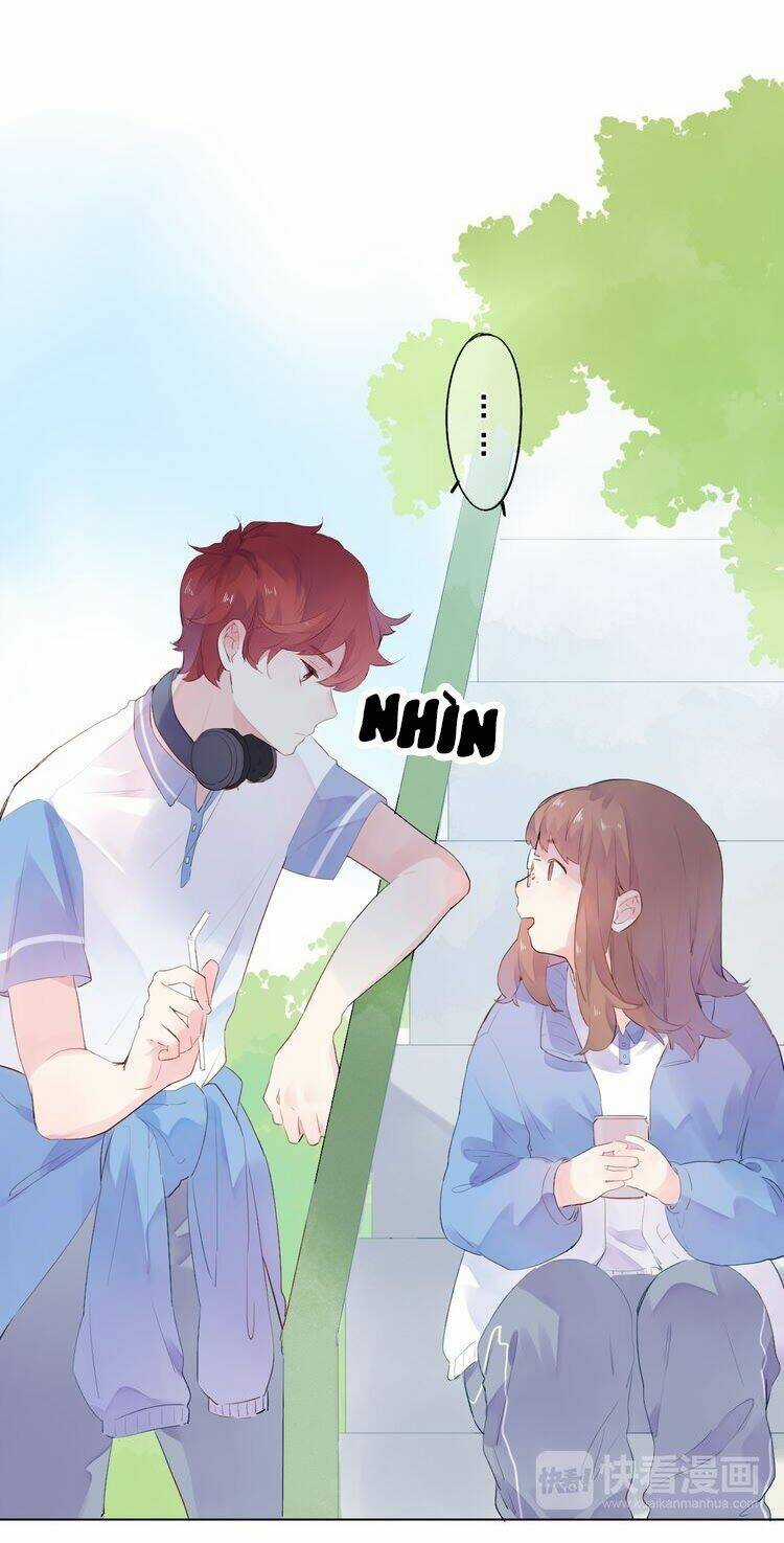 Dolo Mệnh Vận Giao Nang Chapter 28 trang 14