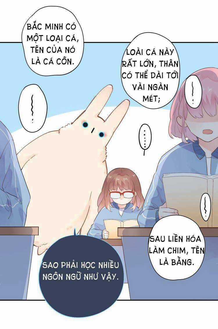 Dolo Mệnh Vận Giao Nang Chapter 31 trang 18