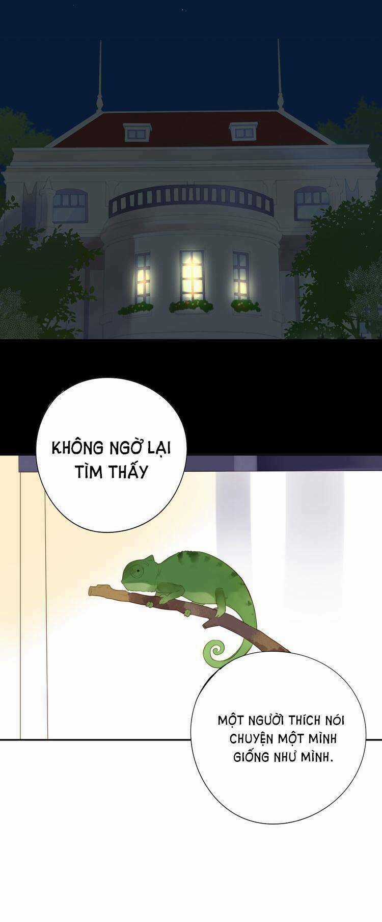 Dolo Mệnh Vận Giao Nang Chapter 31 trang 56