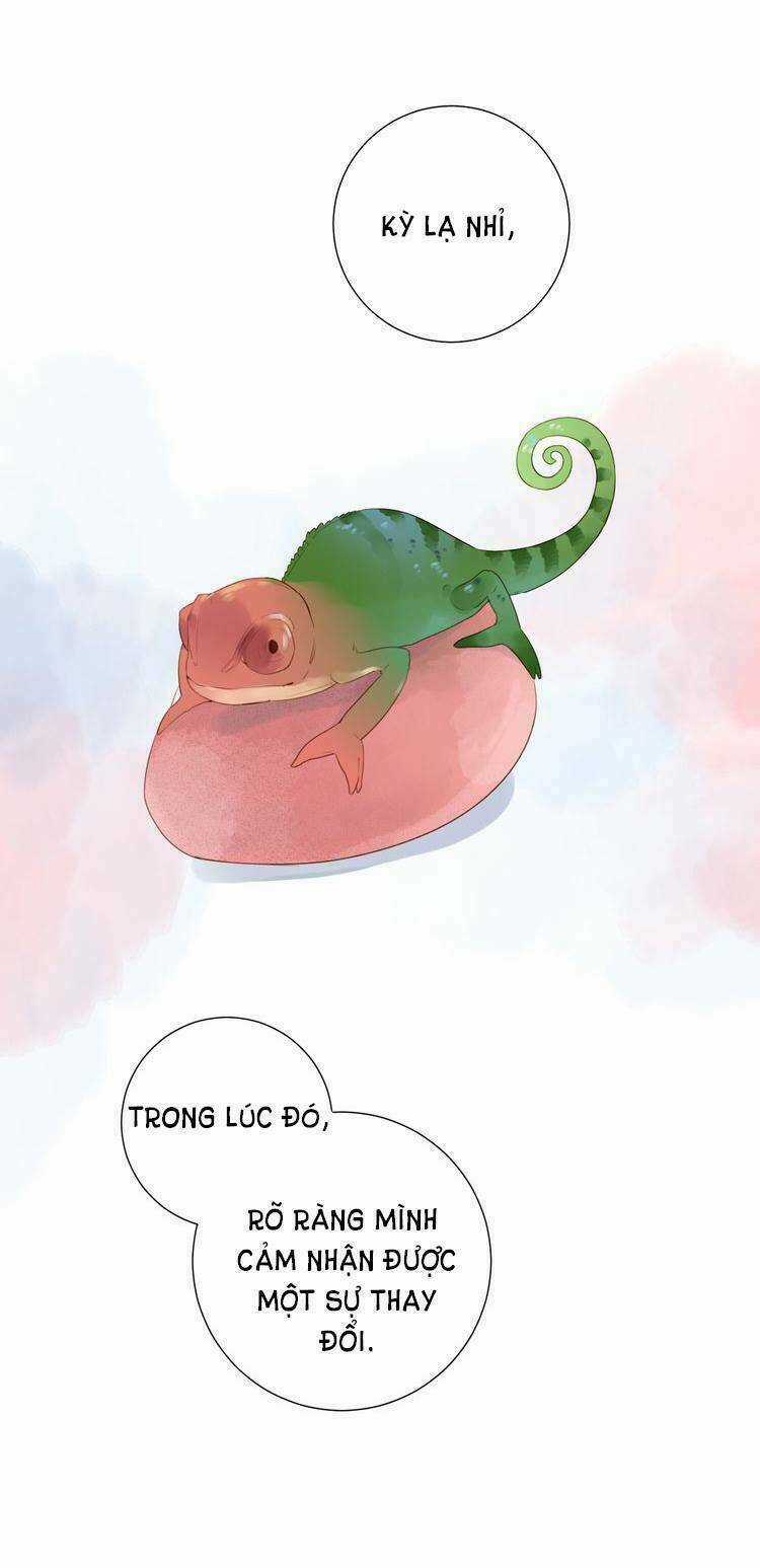 Dolo Mệnh Vận Giao Nang Chapter 31 trang 58