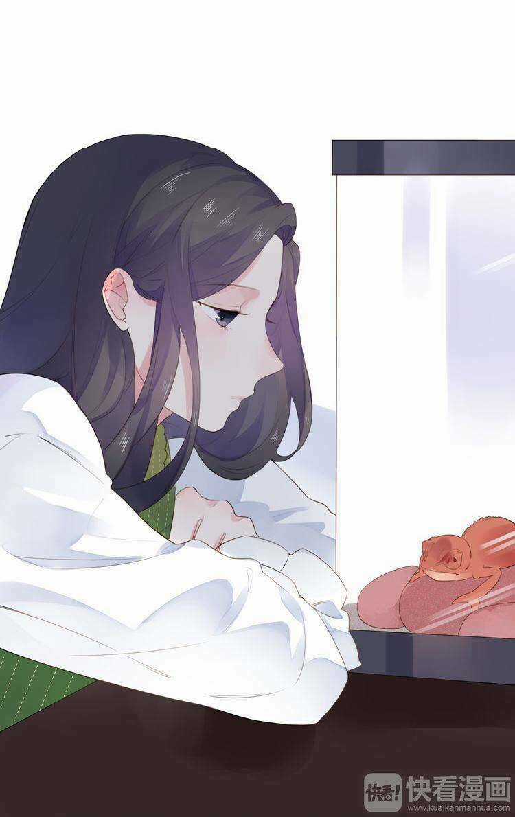 Dolo Mệnh Vận Giao Nang Chapter 31 trang 59