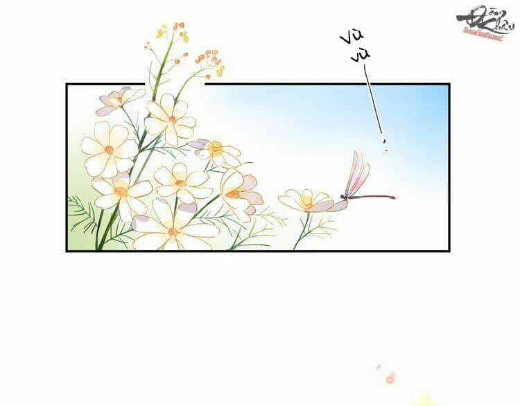 Dolo Mệnh Vận Giao Nang Chapter 33 trang 2