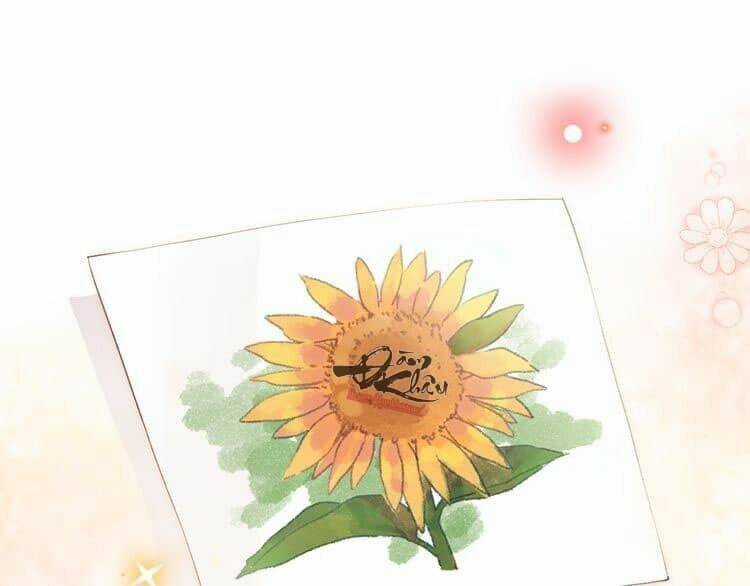 Dolo Mệnh Vận Giao Nang Chapter 33 trang 33