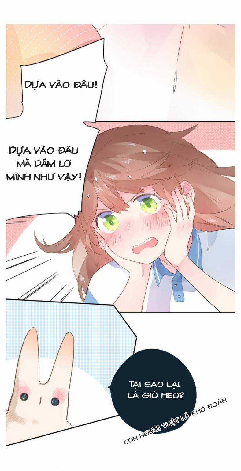 Dolo Mệnh Vận Giao Nang Chapter 35 trang 12