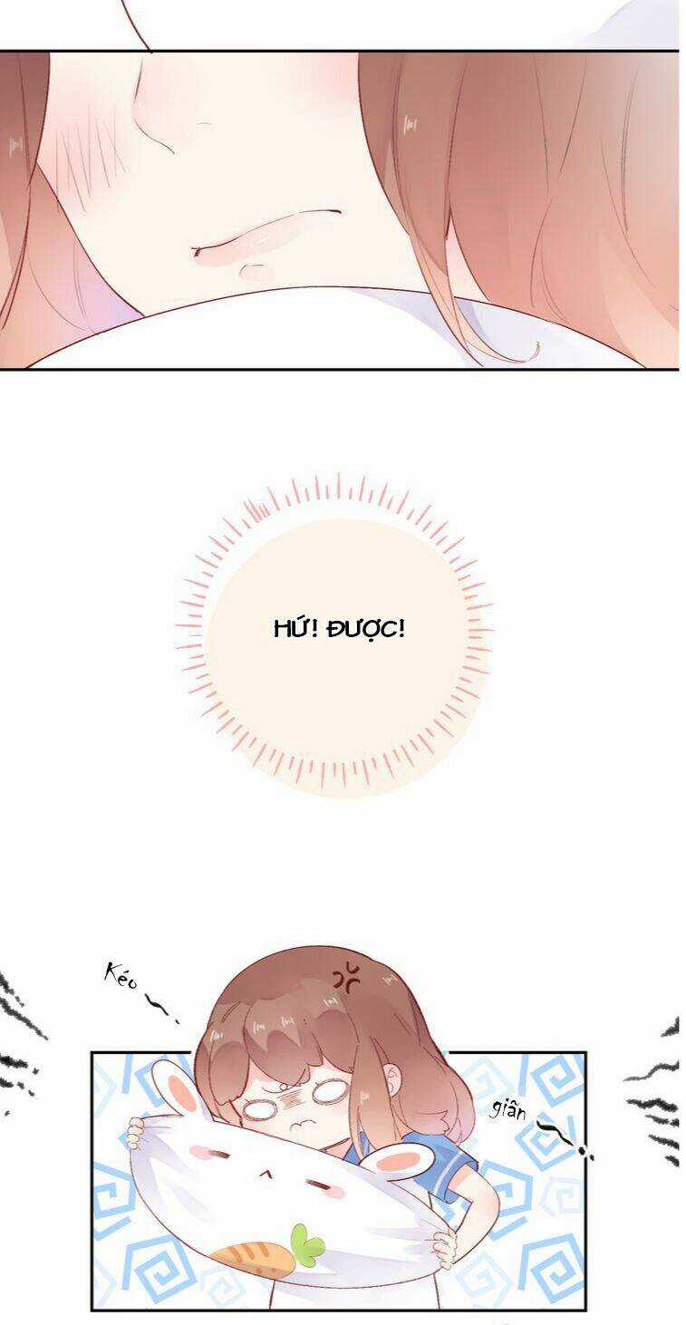 Dolo Mệnh Vận Giao Nang Chapter 35 trang 19