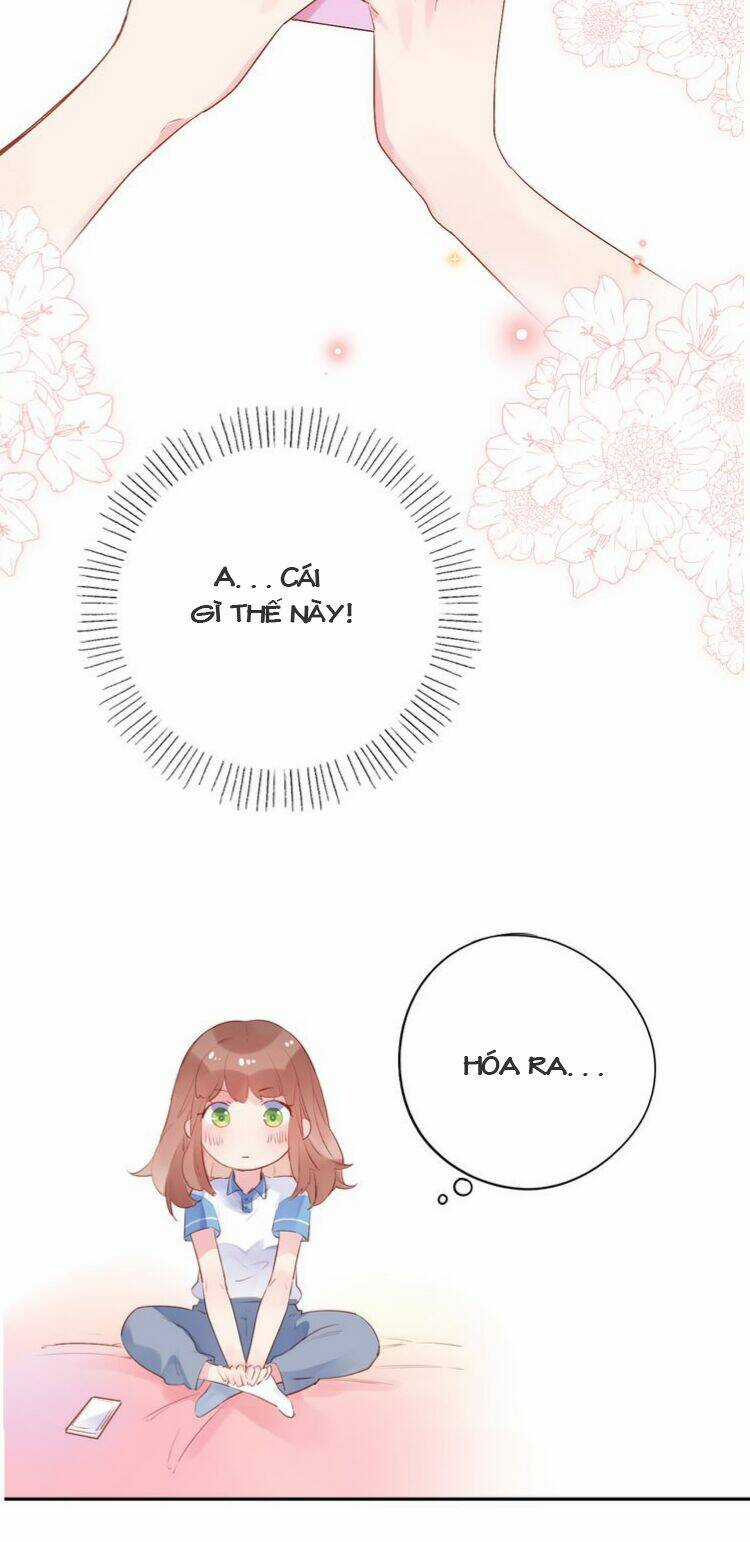 Dolo Mệnh Vận Giao Nang Chapter 35 trang 39