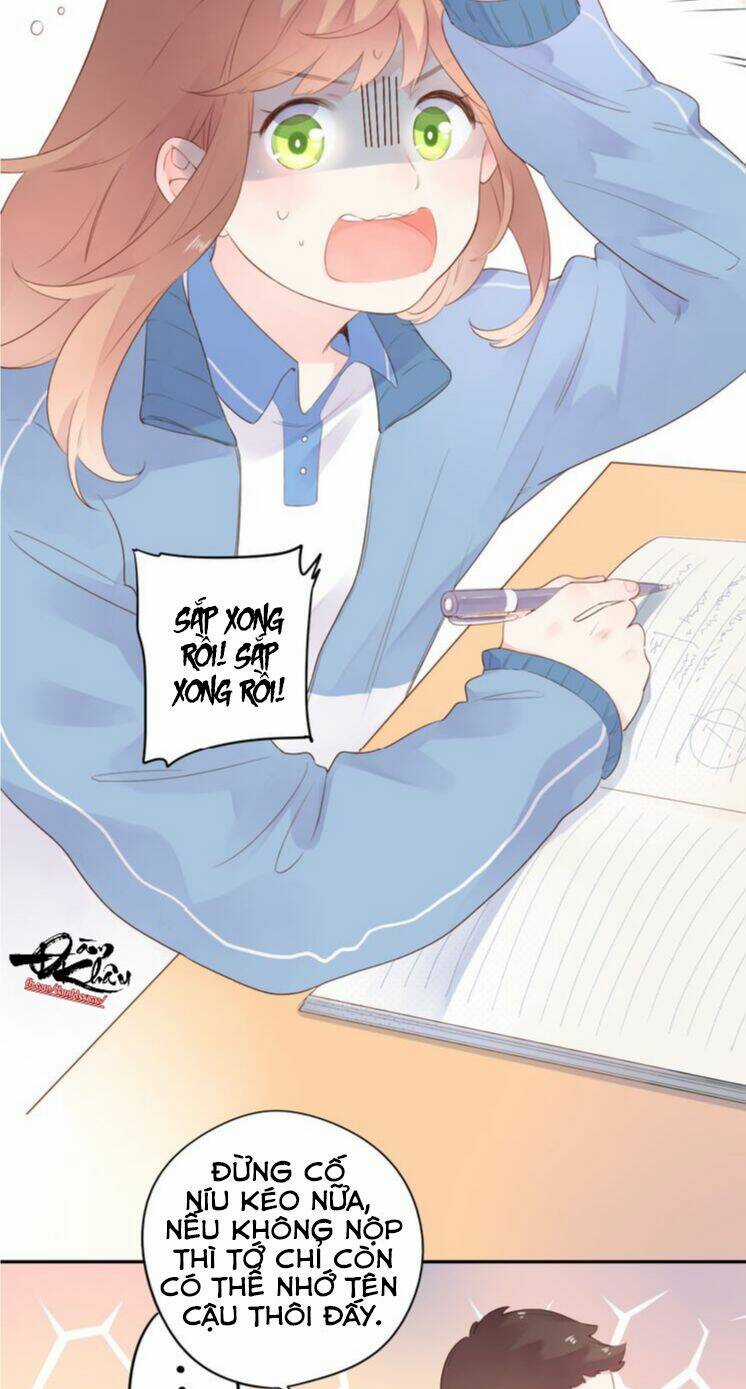 Dolo Mệnh Vận Giao Nang Chapter 36 trang 9