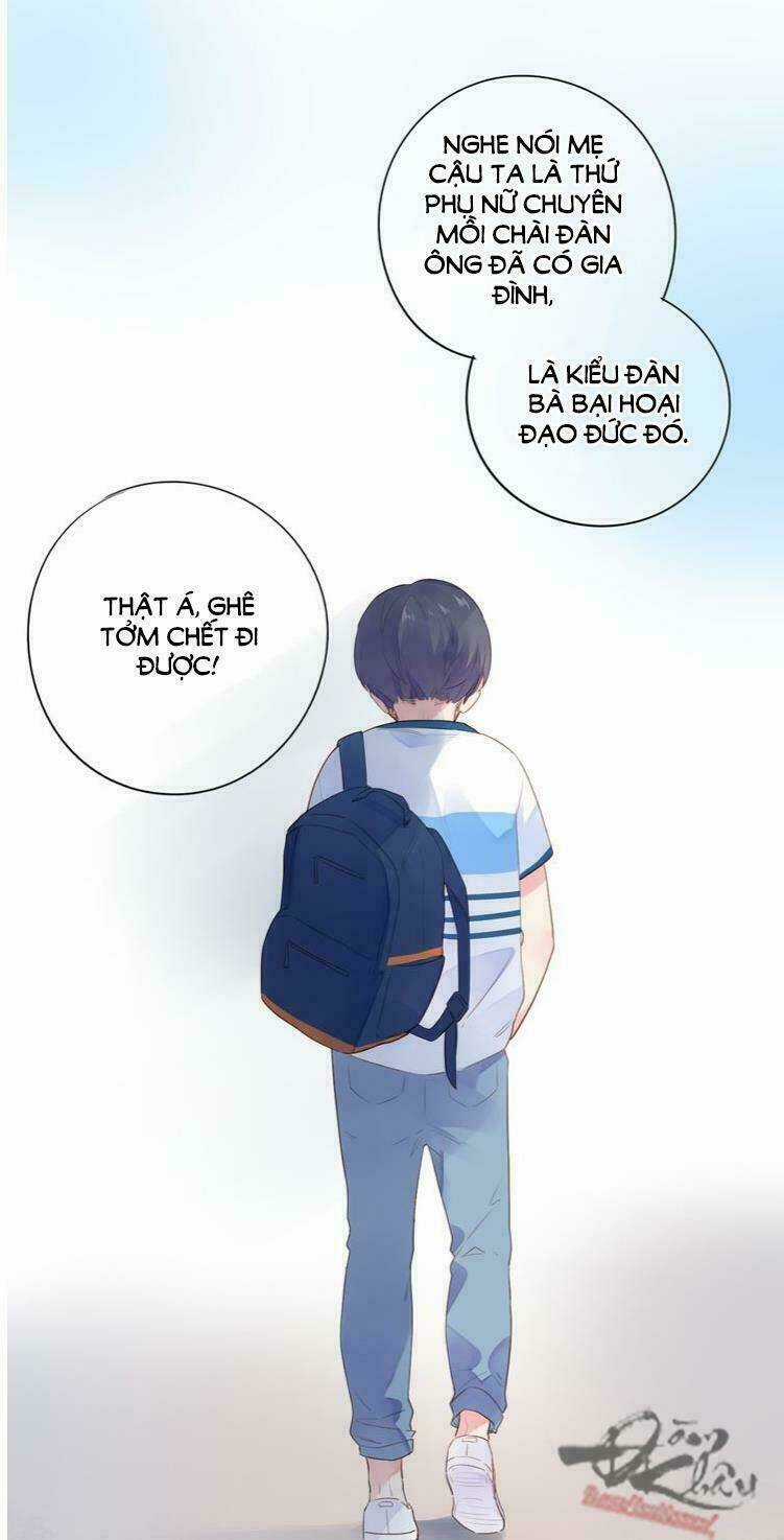 Dolo Mệnh Vận Giao Nang Chapter 37 trang 15