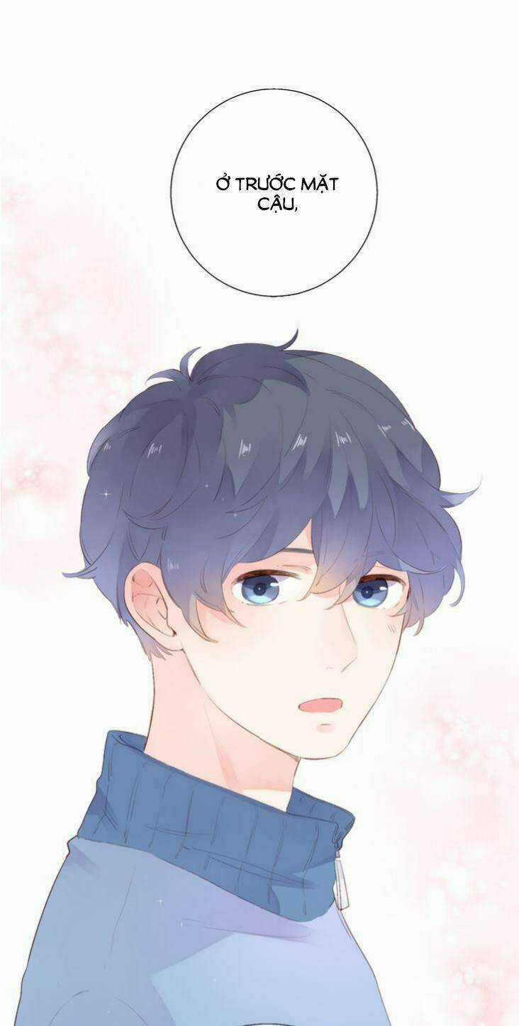 Dolo Mệnh Vận Giao Nang Chapter 37 trang 2