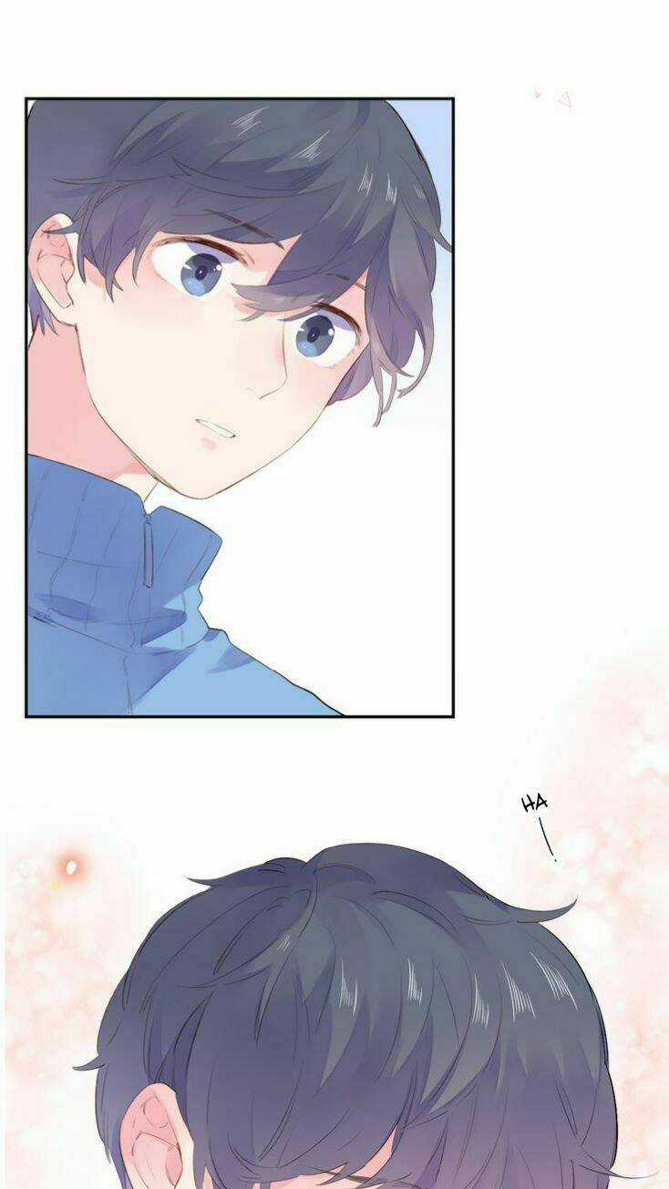 Dolo Mệnh Vận Giao Nang Chapter 37 trang 5