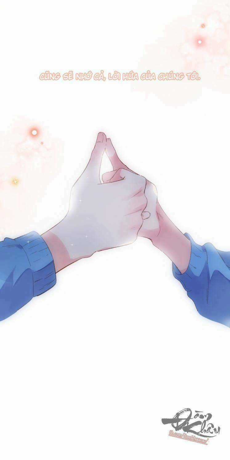 Dolo Mệnh Vận Giao Nang Chapter 37 trang 8