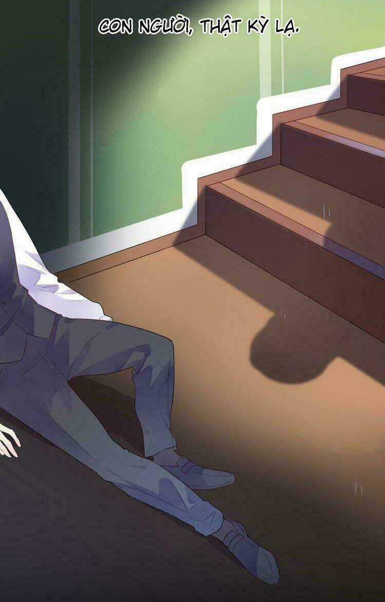 Dolo Mệnh Vận Giao Nang Chapter 37 trang 81