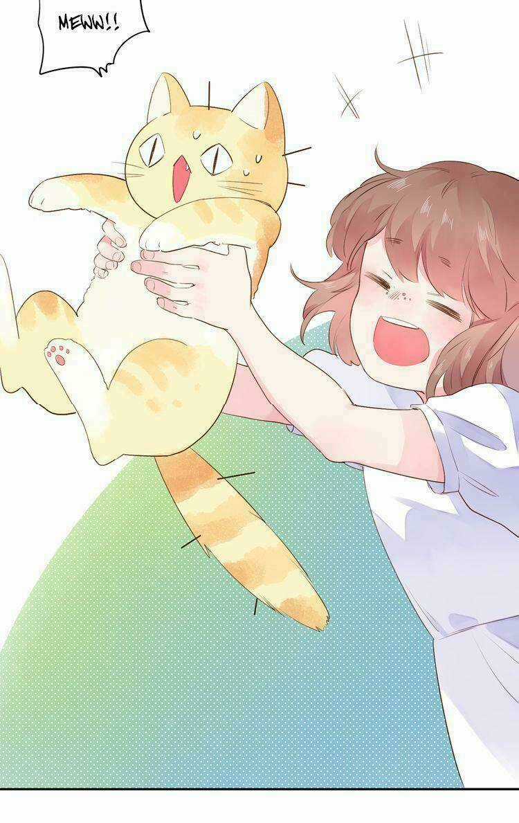 Dolo Mệnh Vận Giao Nang Chapter 37 trang 94