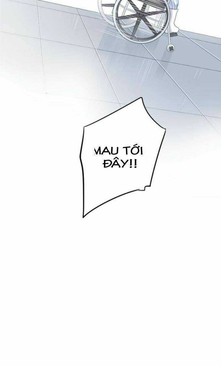 Dolo Mệnh Vận Giao Nang Chapter 39 trang 11