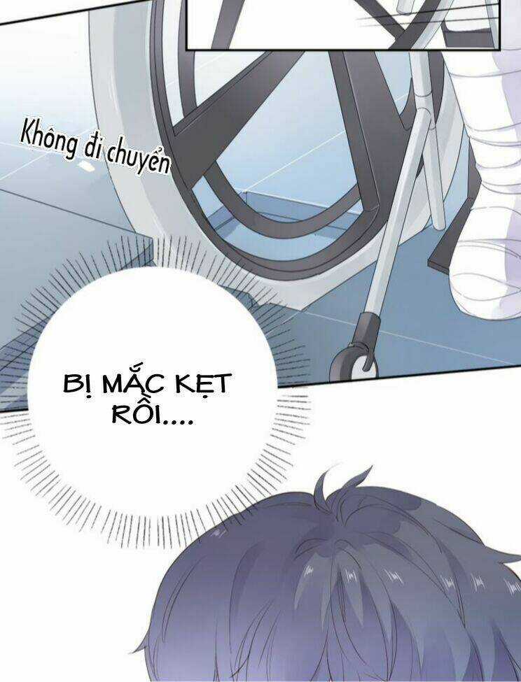 Dolo Mệnh Vận Giao Nang Chapter 39 trang 13