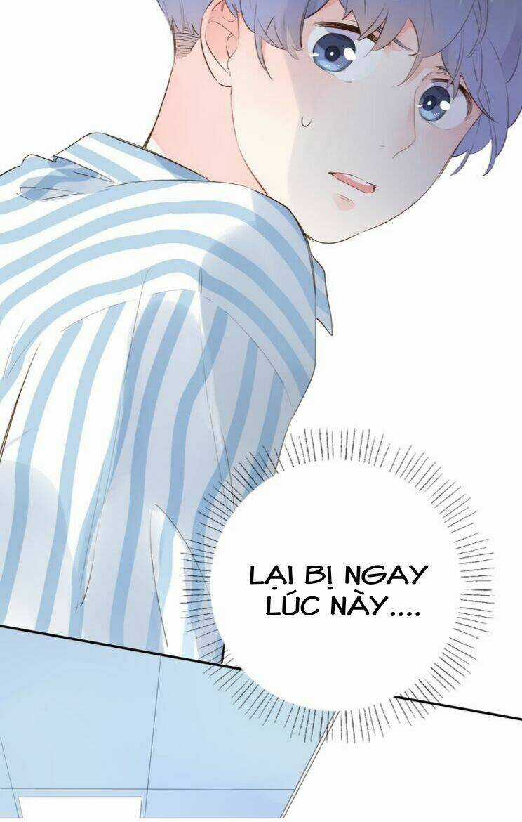 Dolo Mệnh Vận Giao Nang Chapter 39 trang 14