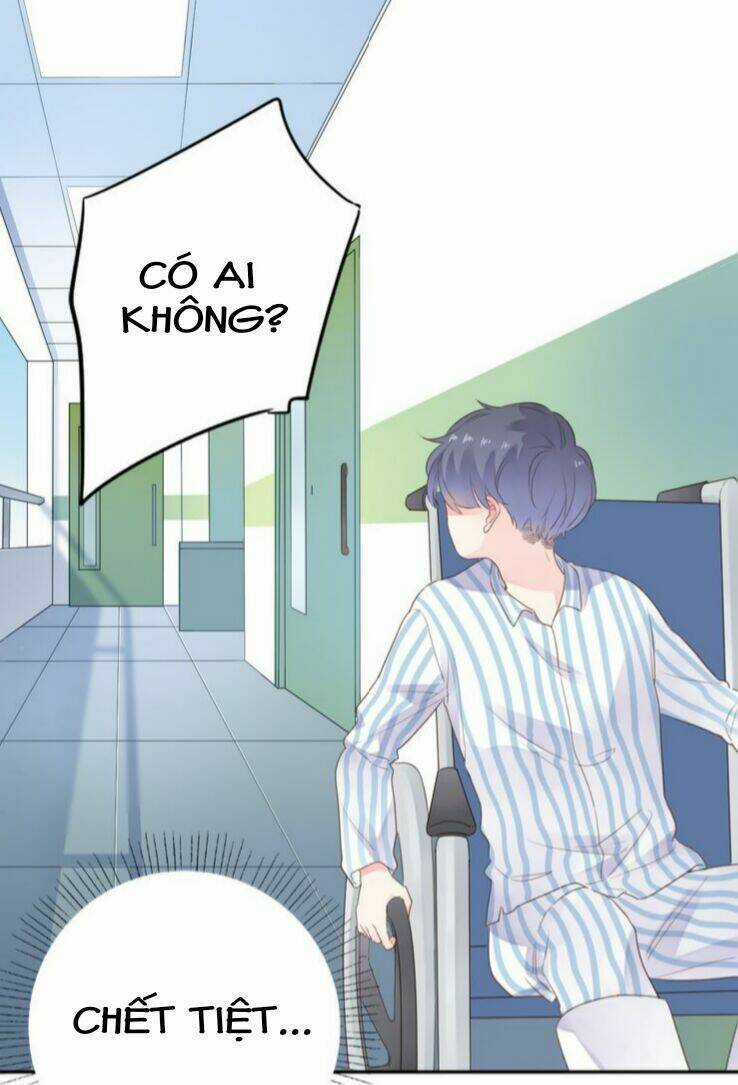 Dolo Mệnh Vận Giao Nang Chapter 39 trang 15