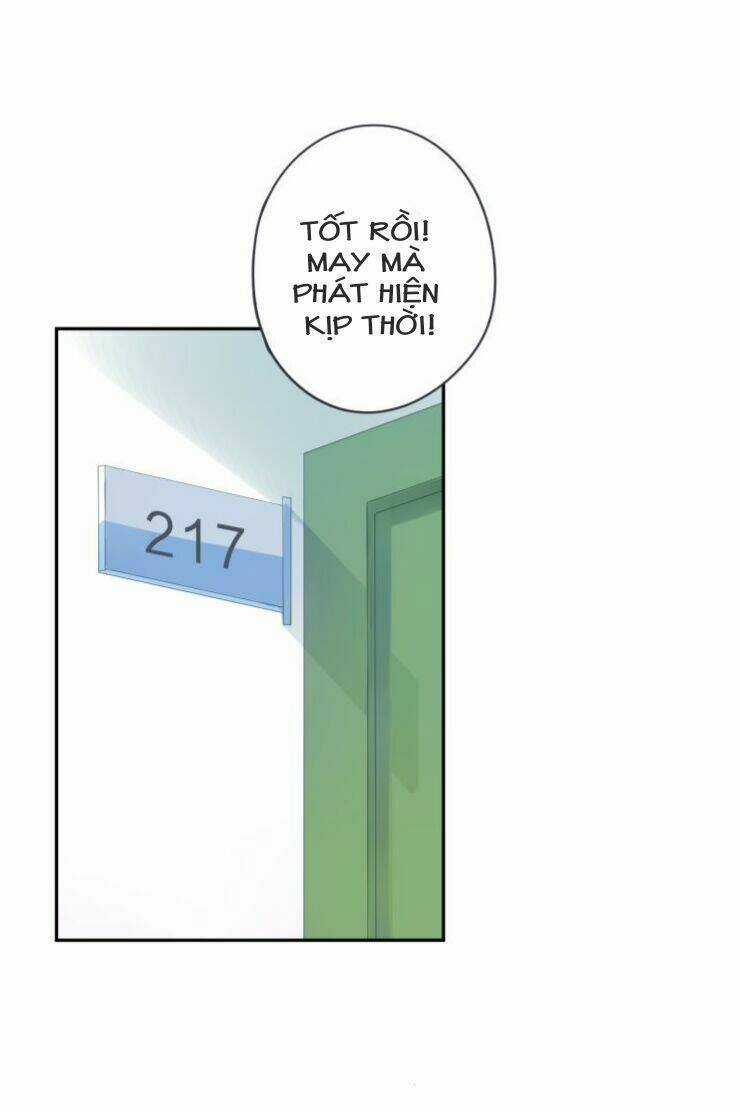 Dolo Mệnh Vận Giao Nang Chapter 39 trang 17