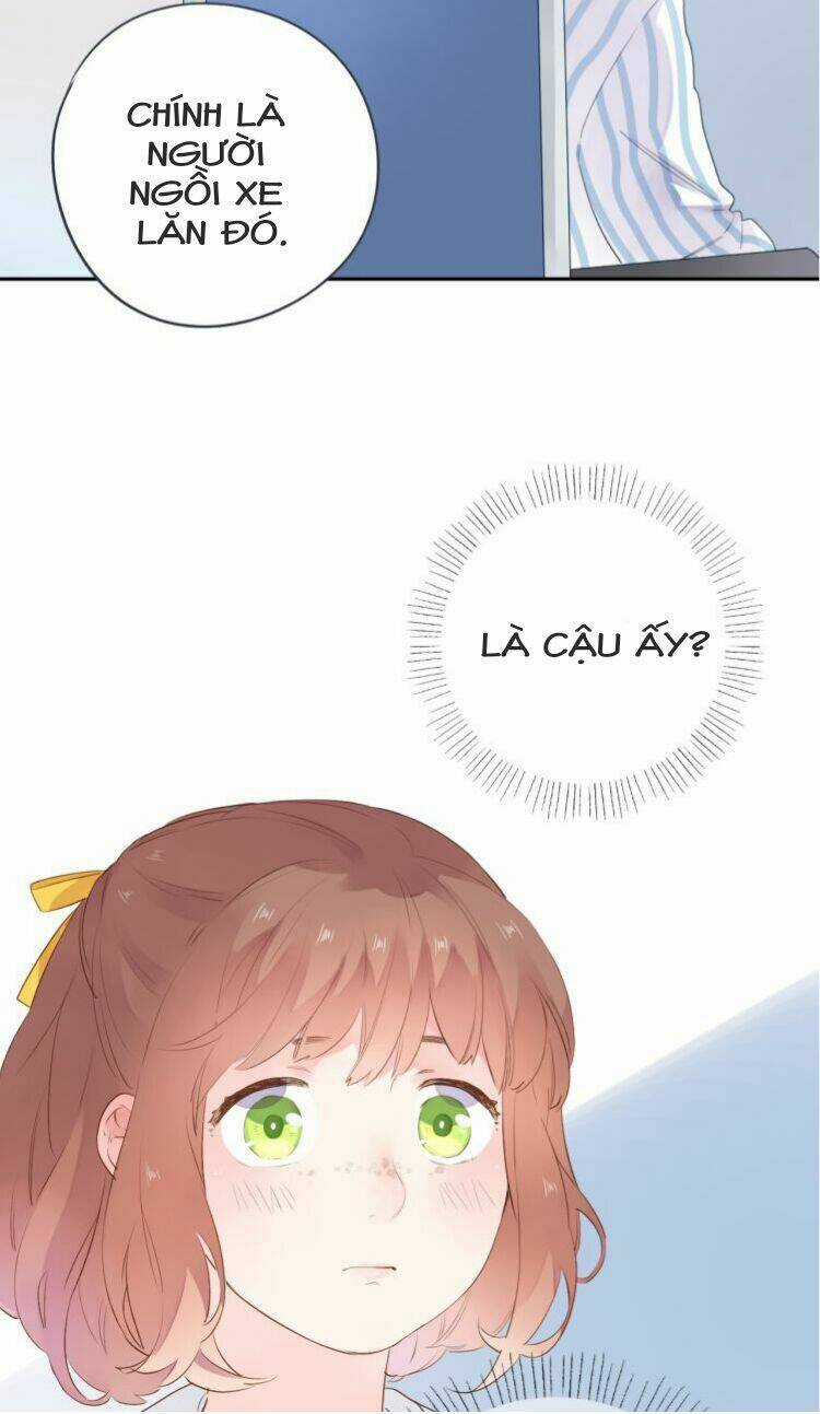 Dolo Mệnh Vận Giao Nang Chapter 39 trang 21