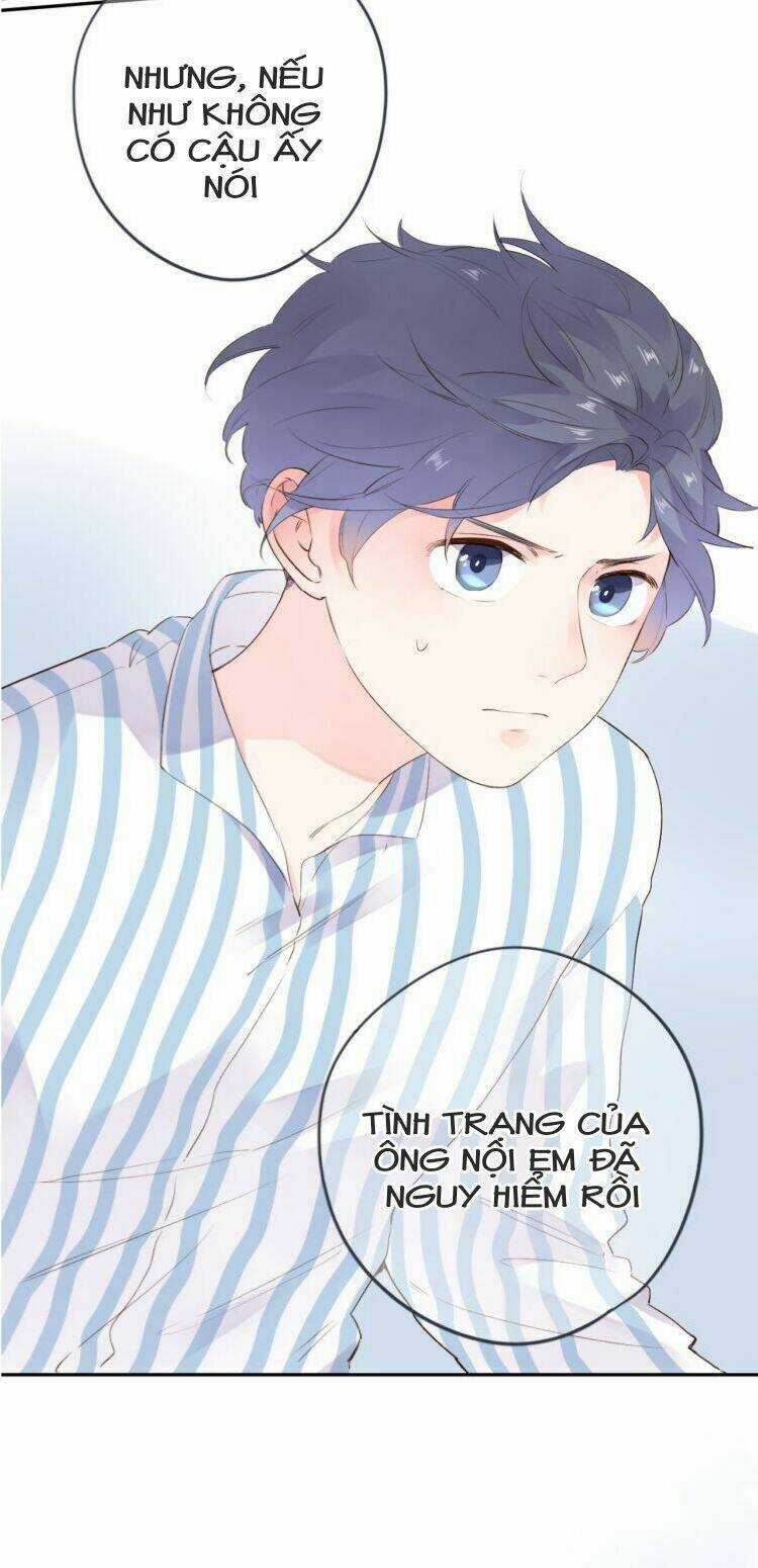 Dolo Mệnh Vận Giao Nang Chapter 39 trang 24