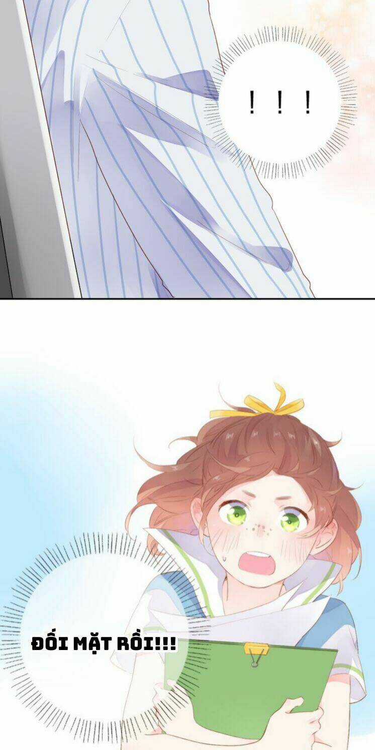 Dolo Mệnh Vận Giao Nang Chapter 39 trang 3