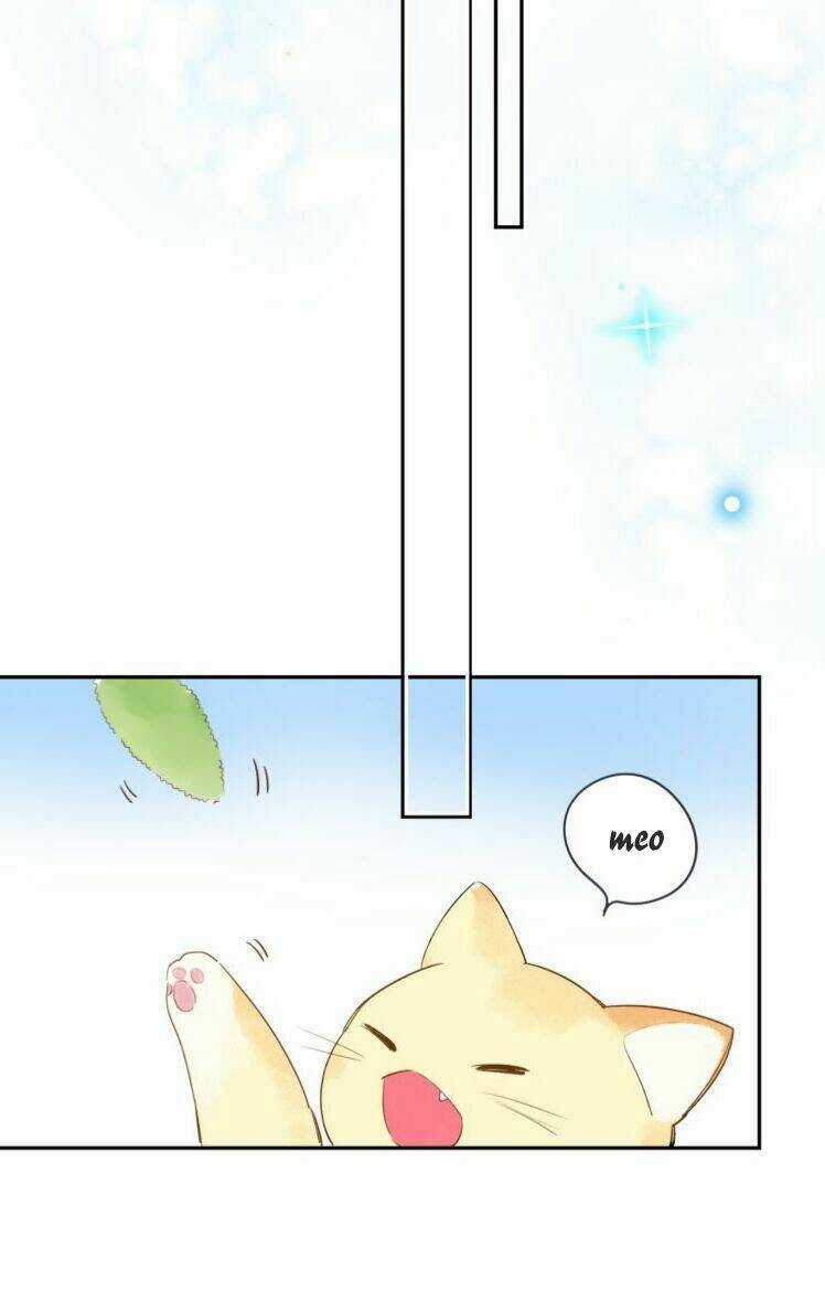 Dolo Mệnh Vận Giao Nang Chapter 39 trang 32