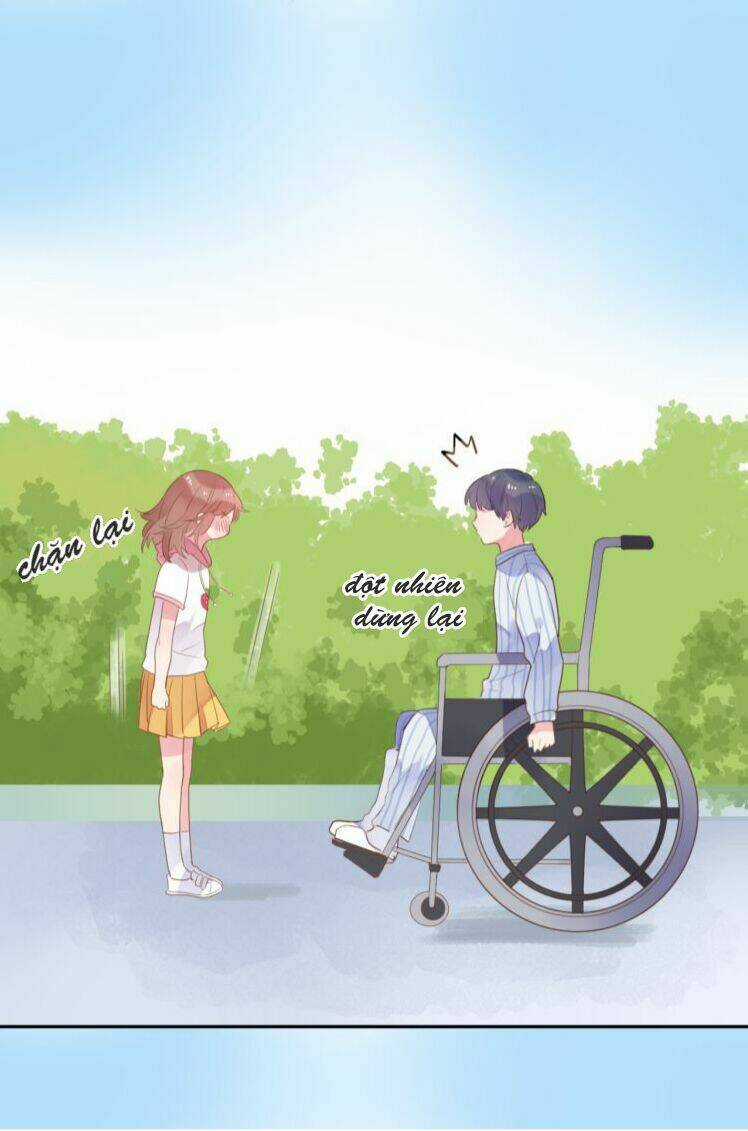 Dolo Mệnh Vận Giao Nang Chapter 39 trang 37