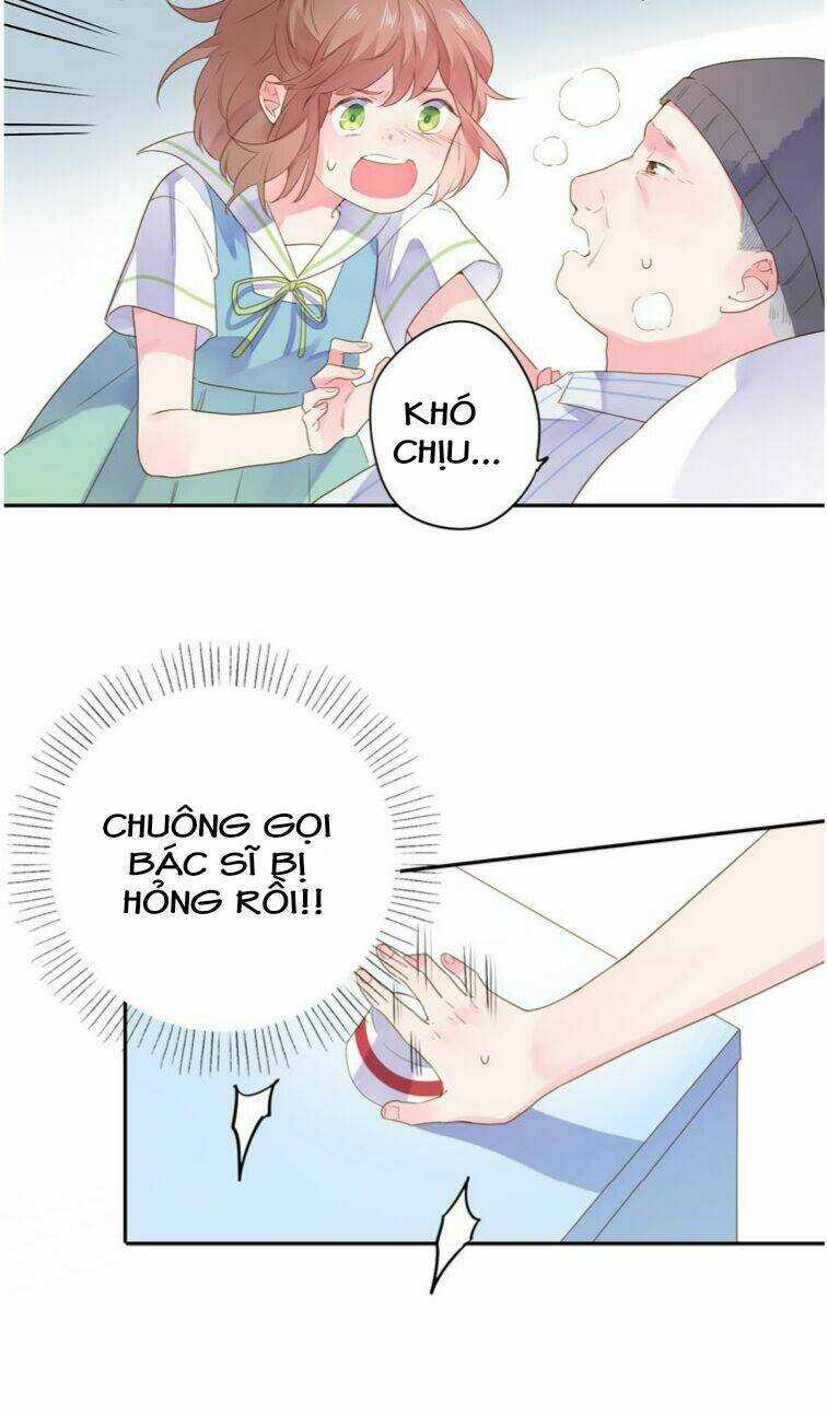 Dolo Mệnh Vận Giao Nang Chapter 39 trang 5