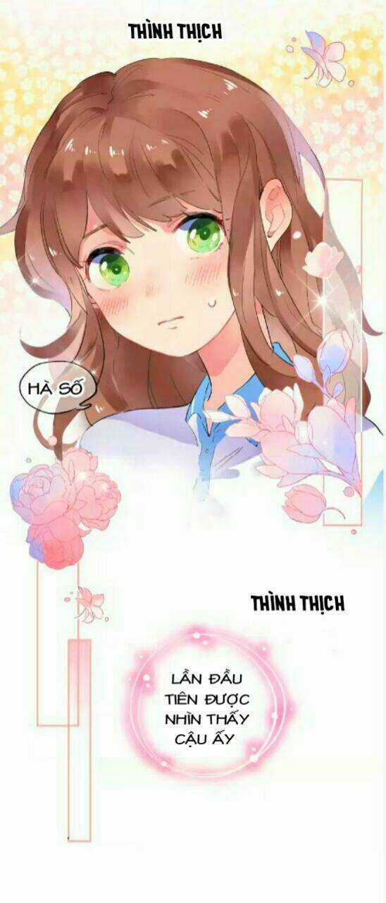 Dolo Mệnh Vận Giao Nang Chapter 4 trang 25