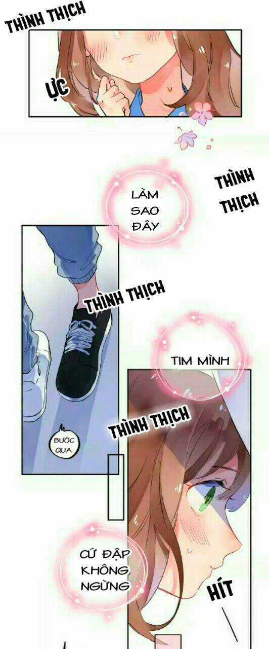 Dolo Mệnh Vận Giao Nang Chapter 4 trang 27