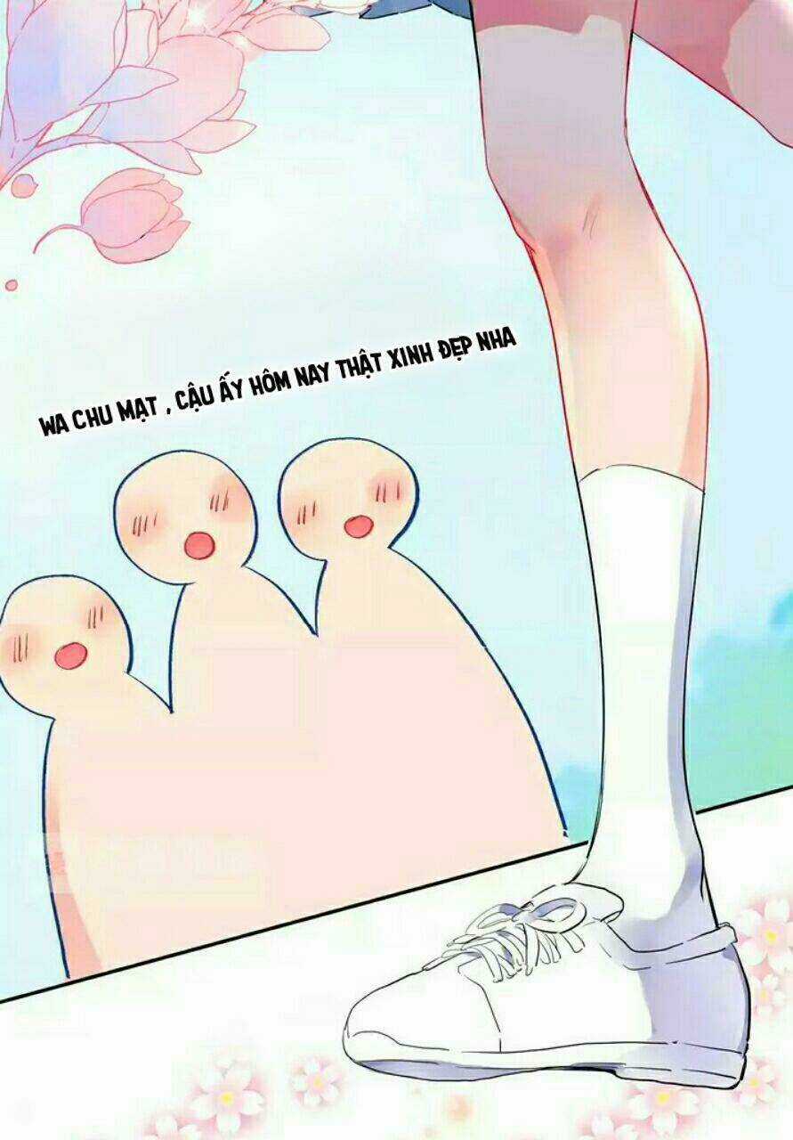 Dolo Mệnh Vận Giao Nang Chapter 4 trang 47