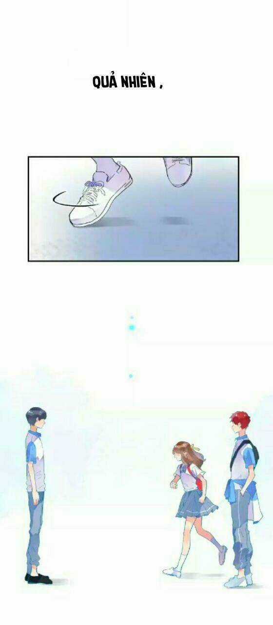 Dolo Mệnh Vận Giao Nang Chapter 4 trang 64