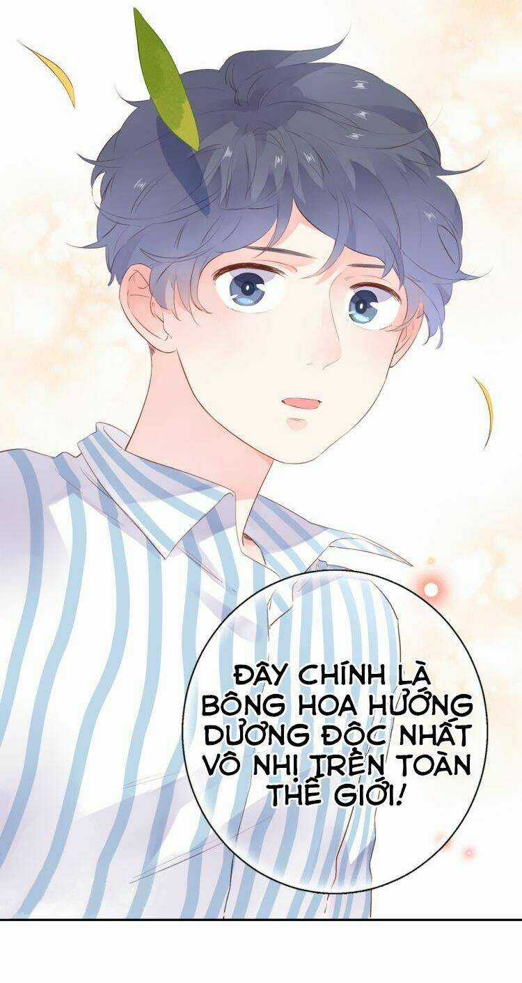 Dolo Mệnh Vận Giao Nang Chapter 40 trang 27