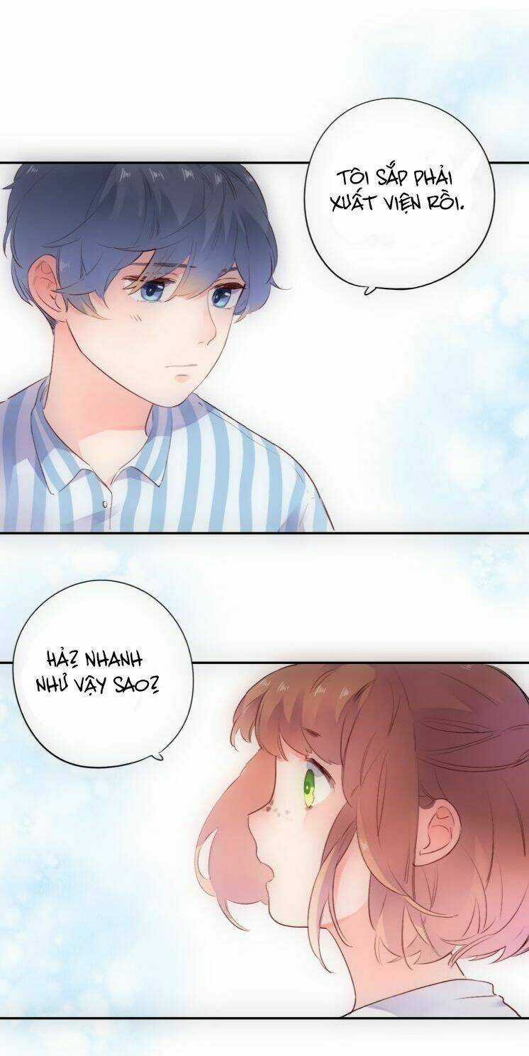 Dolo Mệnh Vận Giao Nang Chapter 40 trang 51