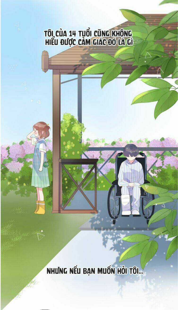 Dolo Mệnh Vận Giao Nang Chapter 41 trang 11