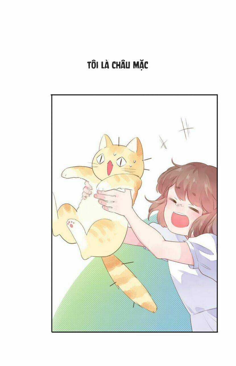 Dolo Mệnh Vận Giao Nang Chapter 41 trang 2